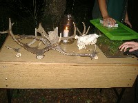 dscf1407.jpg