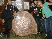 dscf1426.jpg