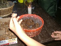 dscf1456.jpg