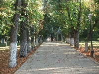 dscf7659.jpg