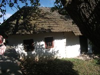 dscf7695.jpg