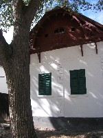 dscf7698.jpg