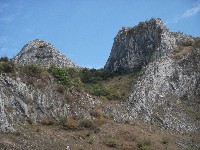 dscf7724.jpg