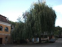 dscf7729.jpg