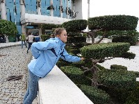 p1070245.jpg