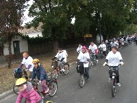 dscf7896.jpg