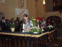 dscf0610.jpg