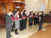 dscf0720.jpg