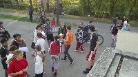 290.jpg