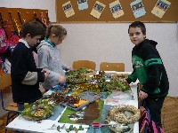 p1200868.jpg