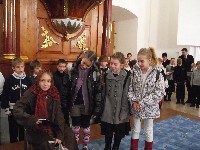dscf0206.jpg