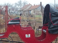 100_1244.jpg