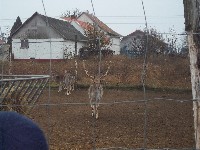 100_1247.jpg