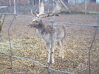 100_1248.jpg