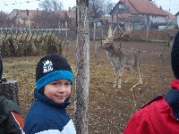 100_1249.jpg