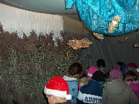 100_1323.jpg