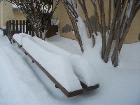 dscf8241.jpg