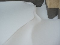 dscf8244.jpg