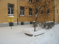 dscf8247.jpg