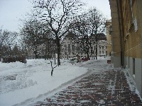 dscf8254.jpg