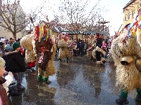 p1080138.jpg