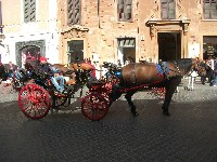 dscf8049.jpg