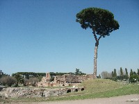 dscf8427.jpg