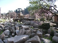 dscf8462.jpg
