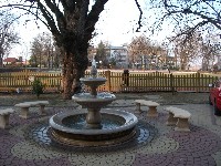 dscf8529.jpg