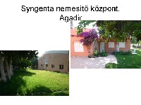 dia23.jpg