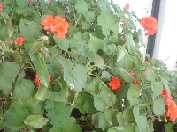 dsc03763.jpg