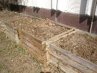dsc03784.jpg
