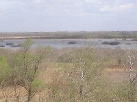 dsc03785.jpg