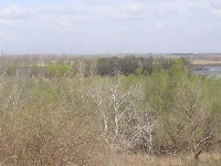 dsc03786.jpg