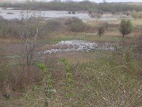dsc03788.jpg