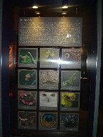 dsc05157.jpg
