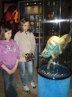 dsc05159.jpg