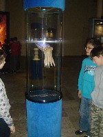 dsc05160.jpg