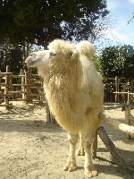 dsc05206.jpg