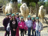 dsc05207.jpg