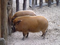 p1000298.jpg