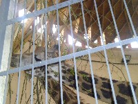 p1000340.jpg