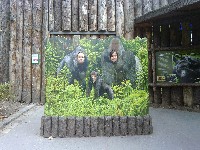 p1000375.jpg