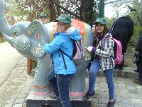 p1000377.jpg