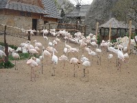 p1080251.jpg