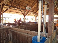 dsc00518.jpg