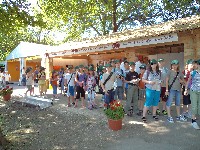 dsc00522.jpg
