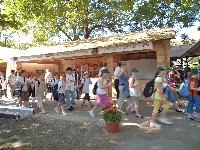 dsc00523.jpg