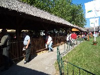 dsc00525.jpg