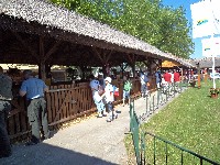 dsc00526.jpg